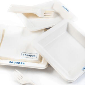 Disposable Cutlery Set